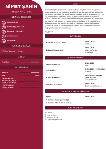 Ressam Cv Örnekleri cv indir